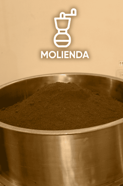 Molienda